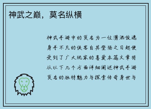 神武之巅，莫名纵横